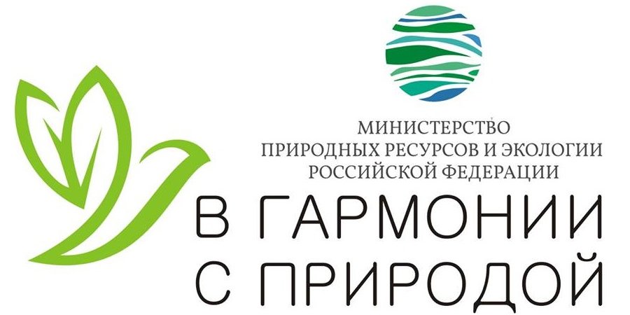 65145851_457029168429075_4966549724095053824_n