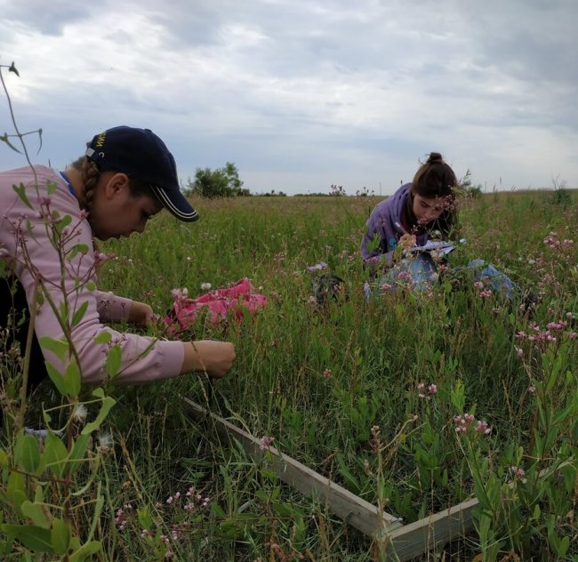 Изучение растительных сообществ