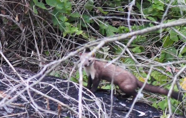 b6f2d774-dcd0-4713-8e64-3d224e779945