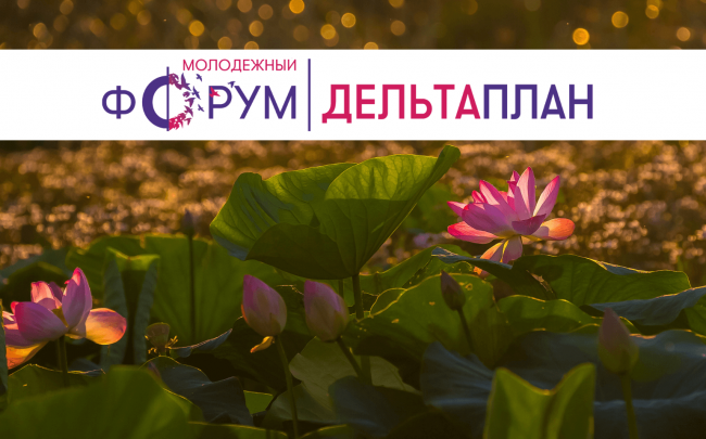 Дизайн без названия