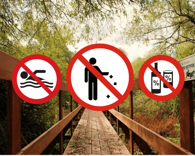 Дизайн без названия