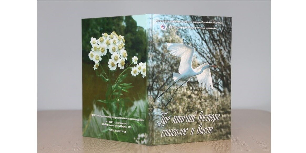 Обложка книги Где птичий восторг стоголос и высок IMG_1554