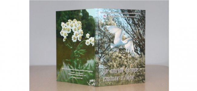 Обложка книги Где птичий восторг стоголос и высок IMG_1554