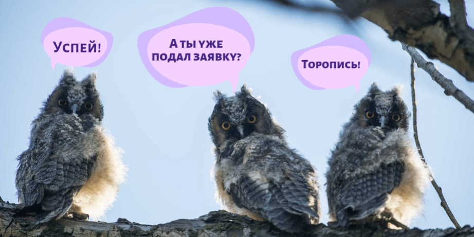 A_ty_uzhe_podal_zayavku