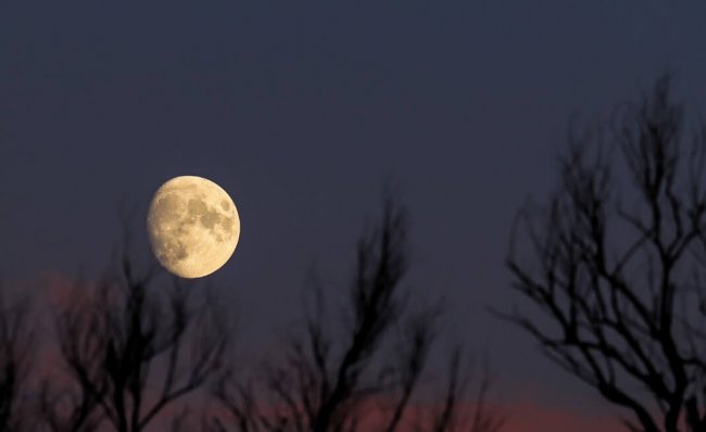 Вадим Матасов