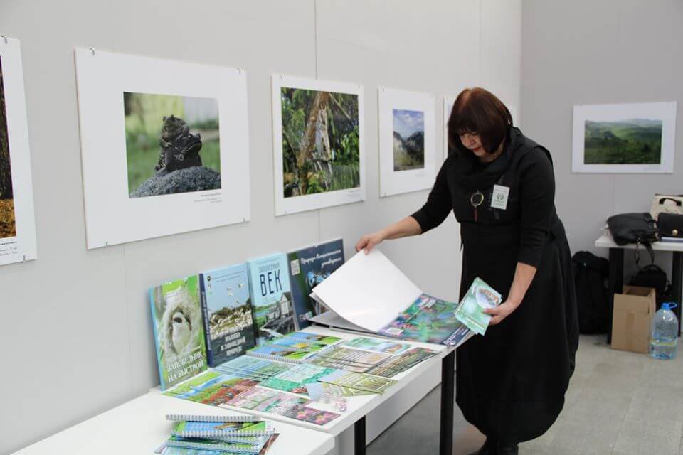 Подготовка раскладки буклетов, книг, сувениров на фестивале