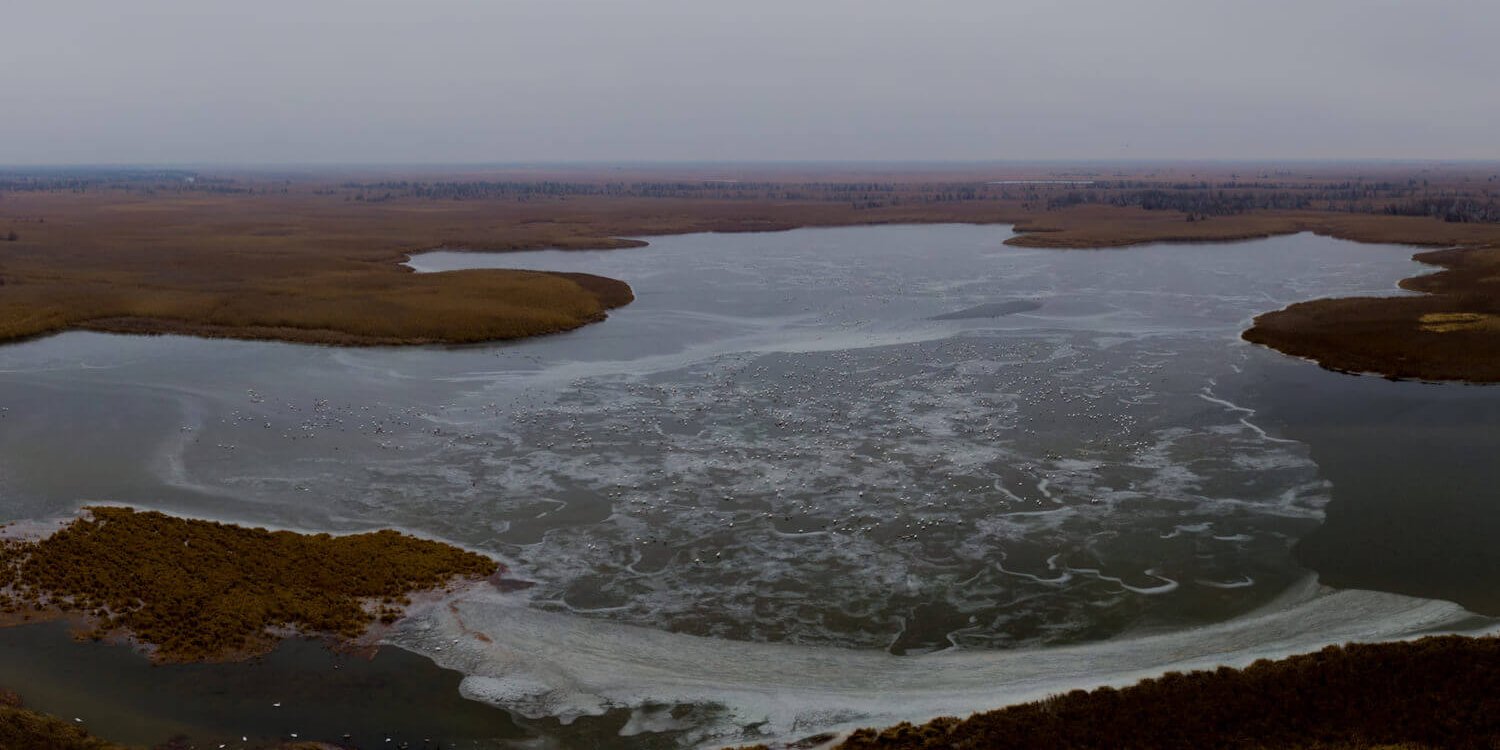 Ракушечный култук