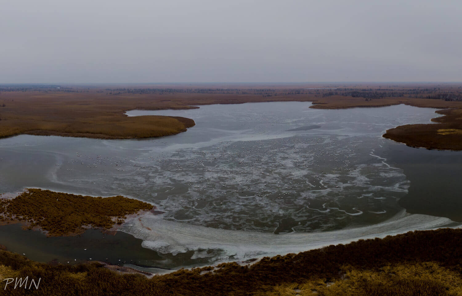 Ракушечный култук