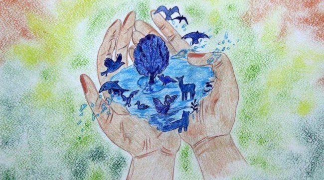 8_Rog2iTyoA-800×445