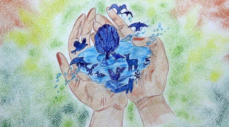 8_Rog2iTyoA-800×445