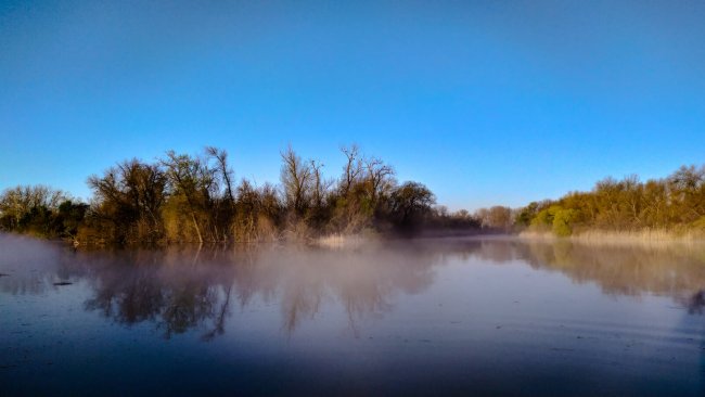 Скопленее орланов на истоке Средней быстрой на расвете-7