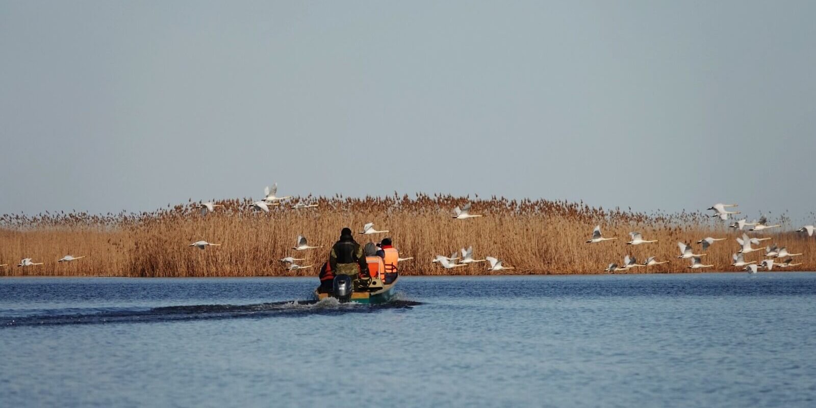 авандельта_Вильданова