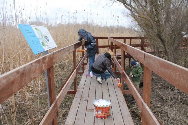 Волонтёры в марте