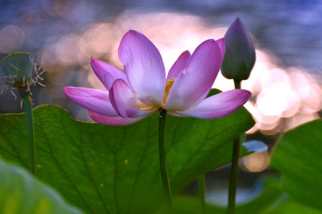 Алёна Рыжова (10)