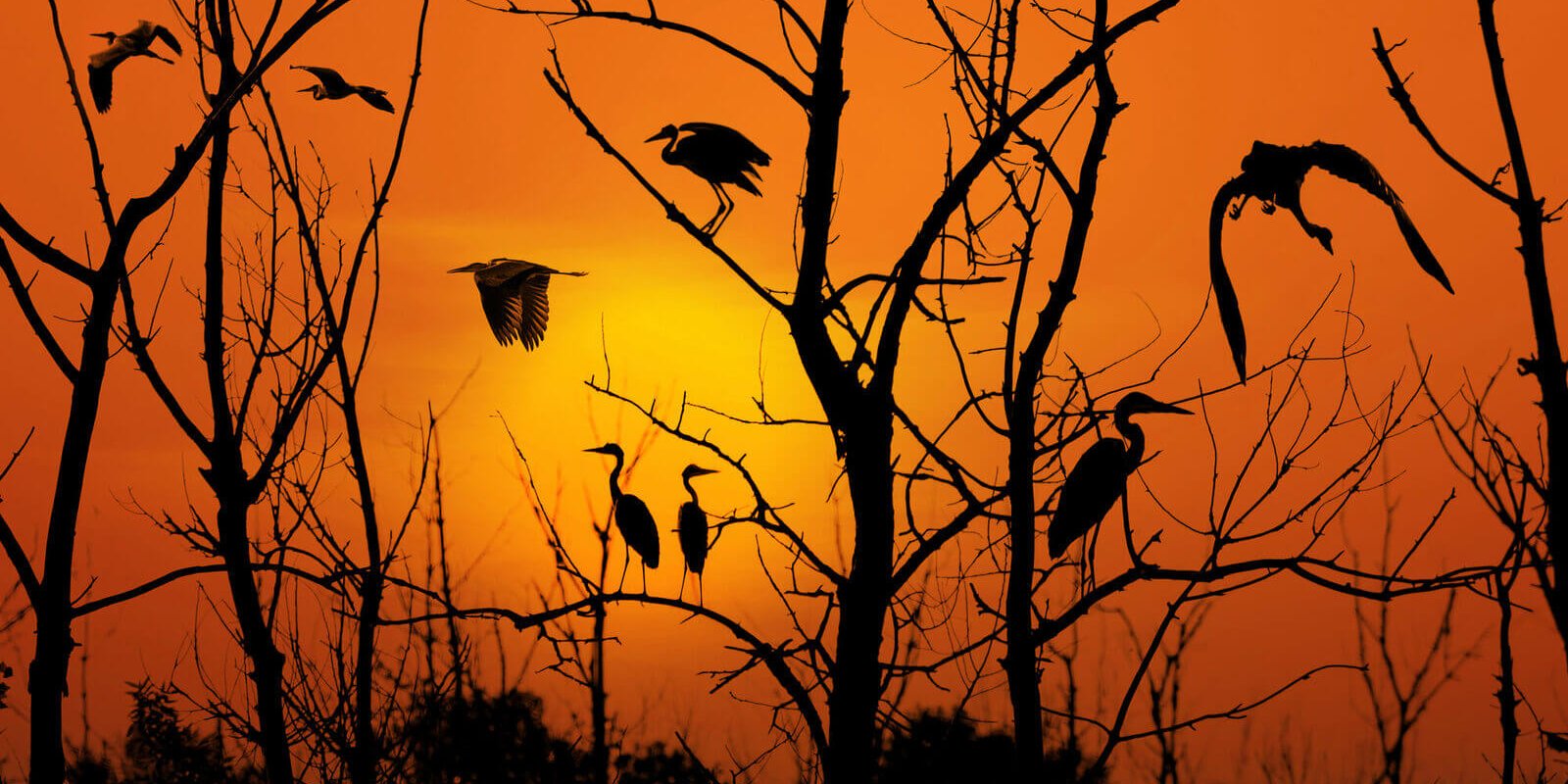 Иван Семириков