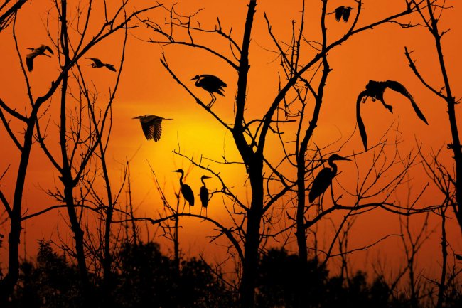 Иван Семириков