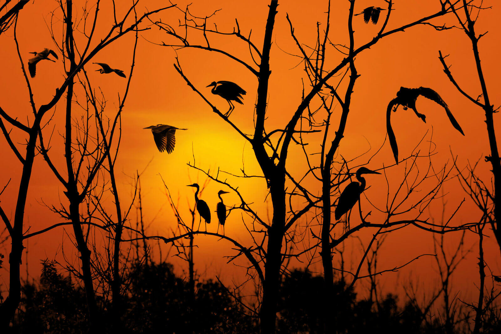 Иван Семириков