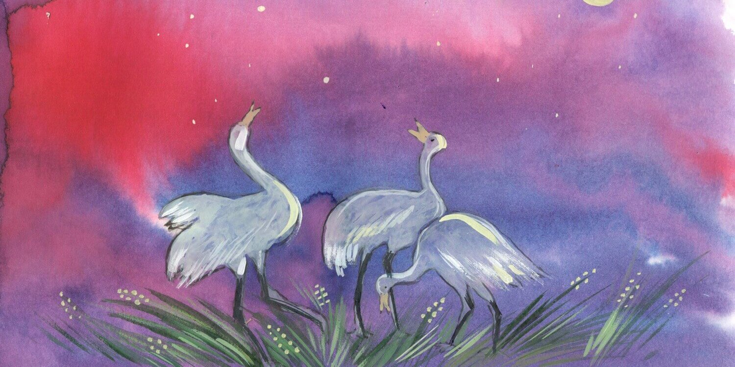 Нехорошева Анастасия МБОУ гАстрахани СОШ 32