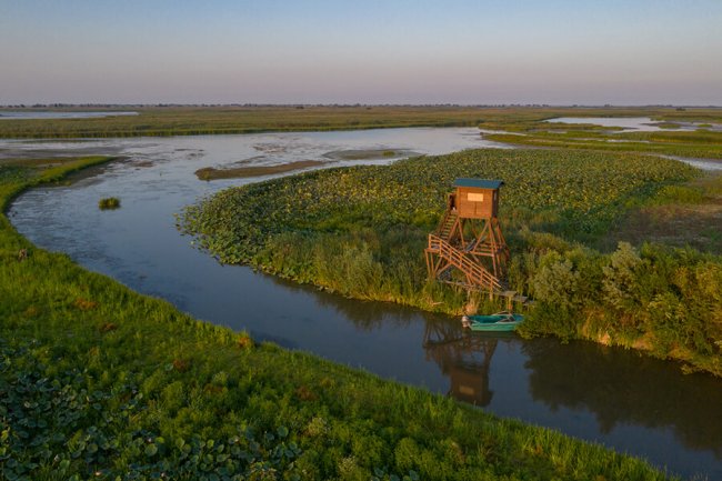 Смотровая вышка, Обжоровский участок, Алексей Кашин
