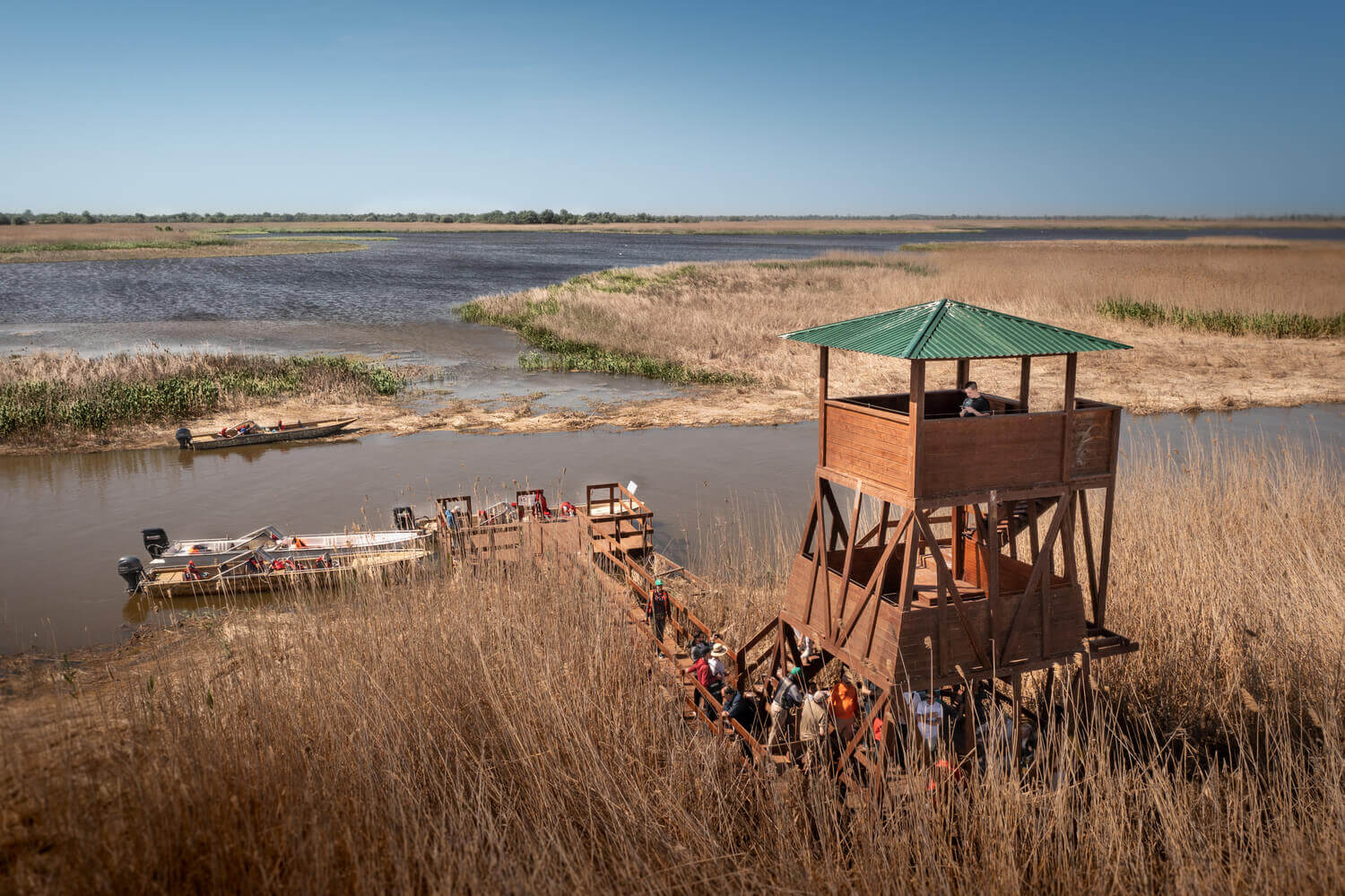 Вышка в авандельте, Алексей Милешкин