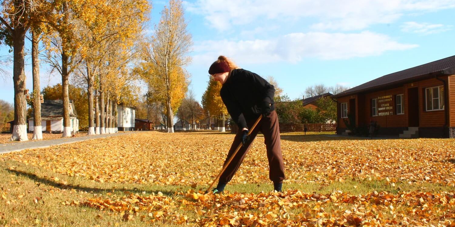 Дамчикский участок
