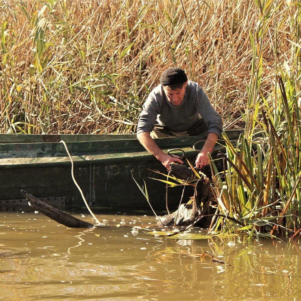 Дамчикский участок