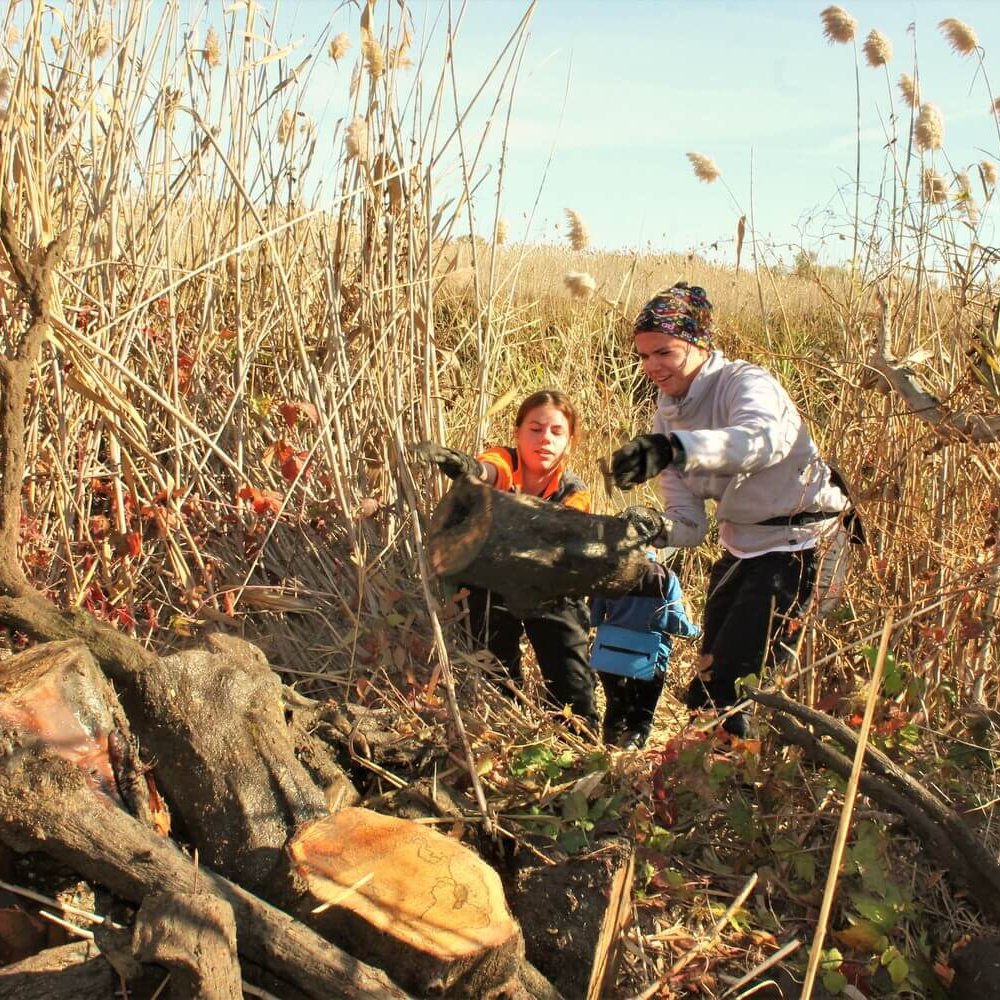 Дамчикский участок