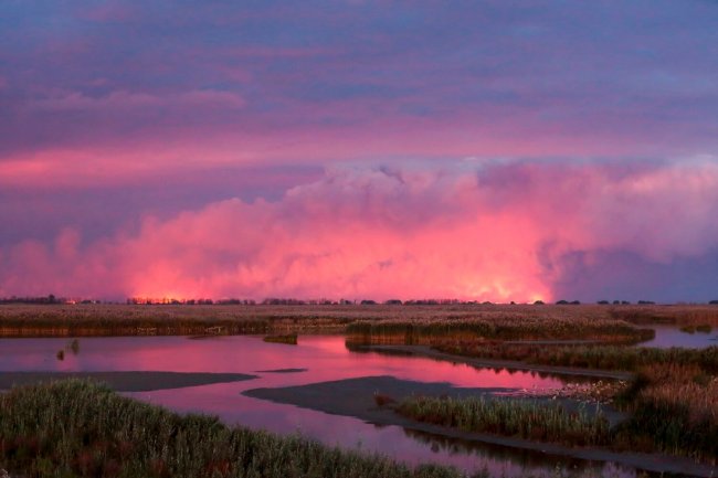 Полонский_Пожары в дельте Волги (1)