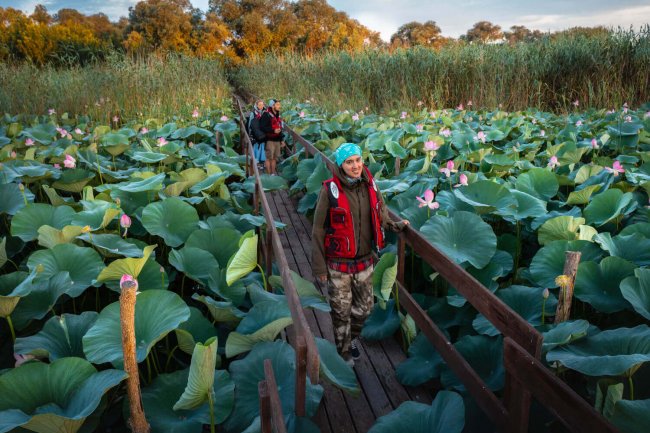 Алексей Милешкин