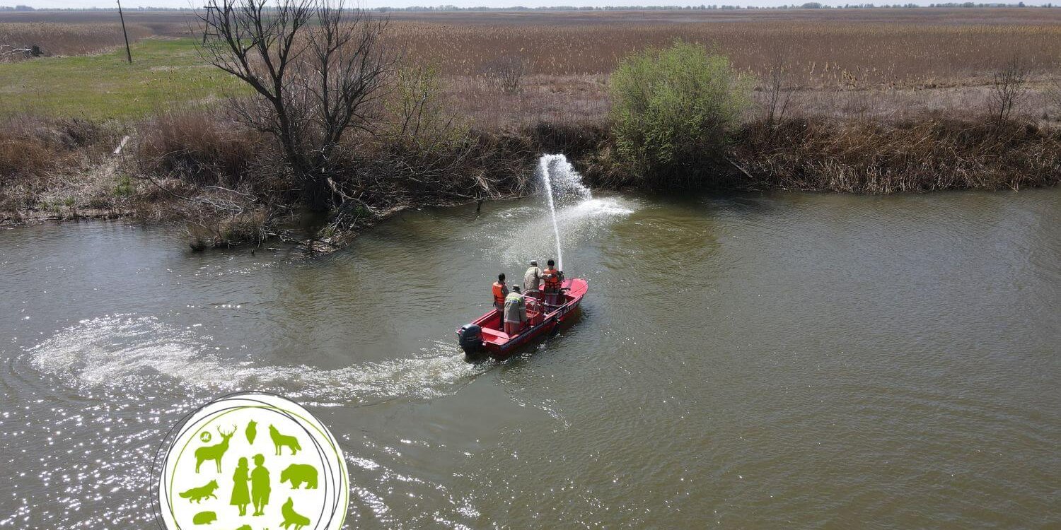 Красивые дети в красивом мире (3)