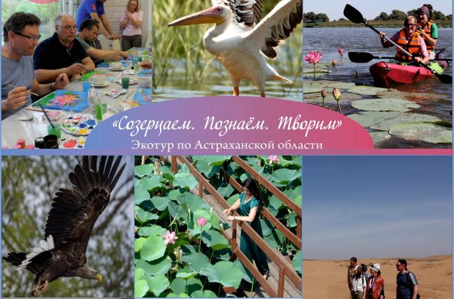 Баннер_экотур