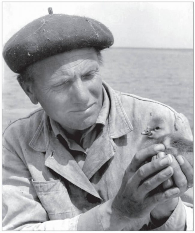 Снимок веб-страницы_12-8-2022_125533_