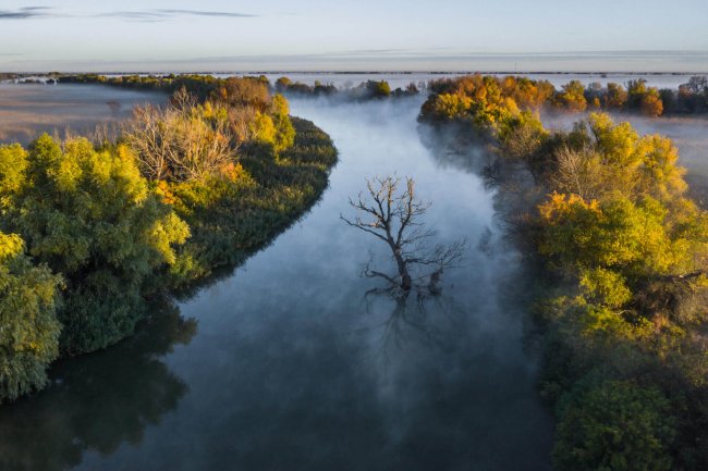 Утонувшее в тумане, Алексей Кашин