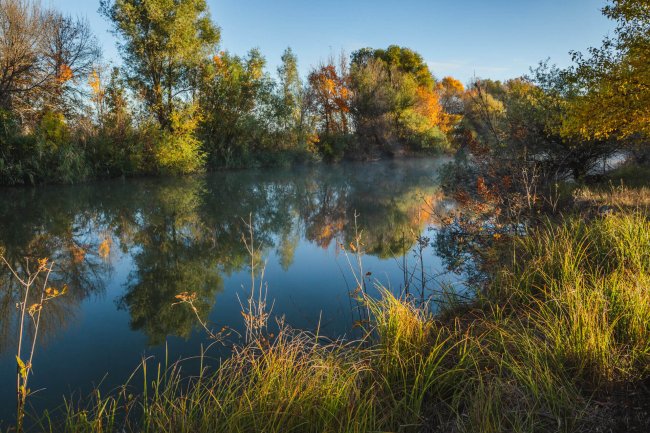 Галерейные леса А.Кашин
