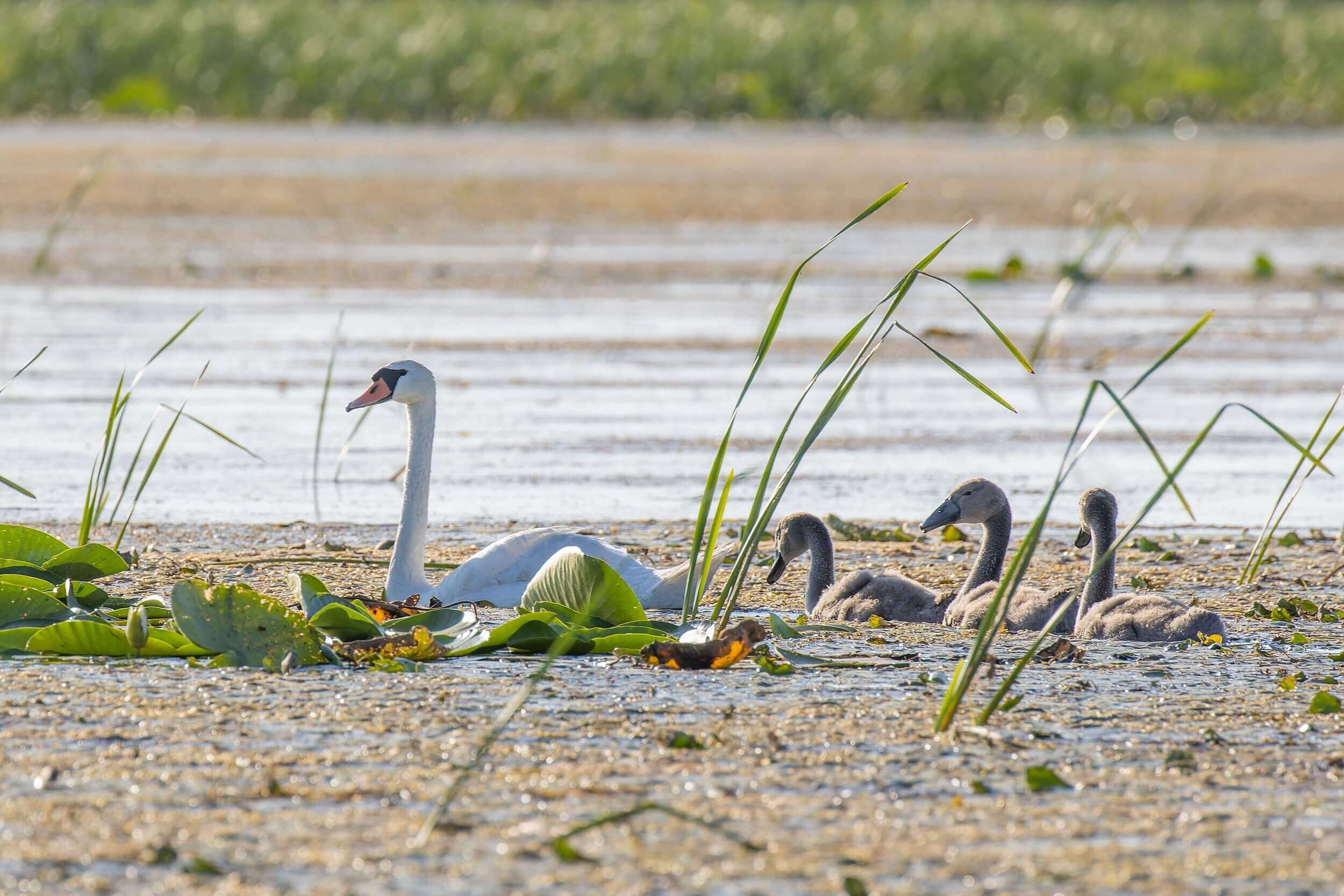 └├╟20240714170740