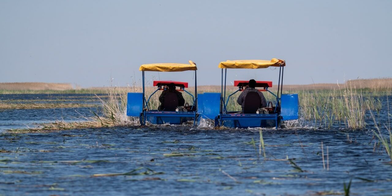 Евгений Полонский