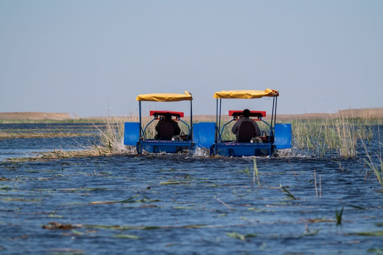 Евгений Полонский