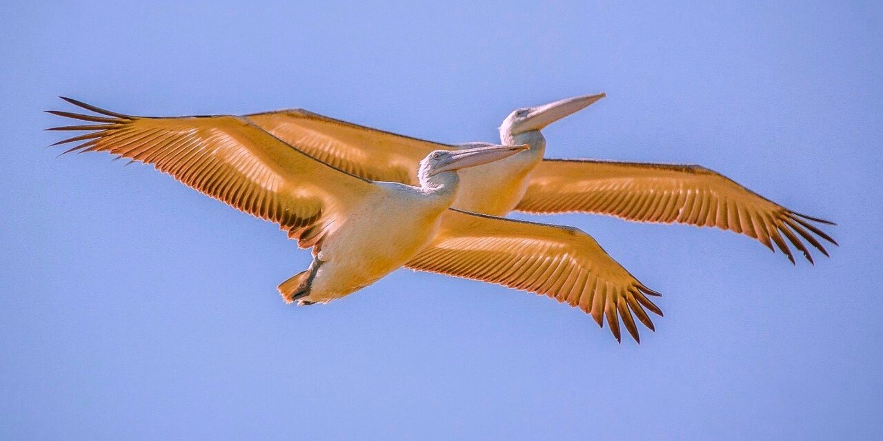 i – 2023-06-17T174343.679 (1)