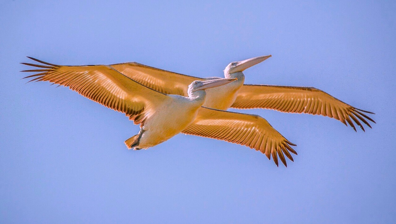 i – 2023-06-17T174343.679 (1)