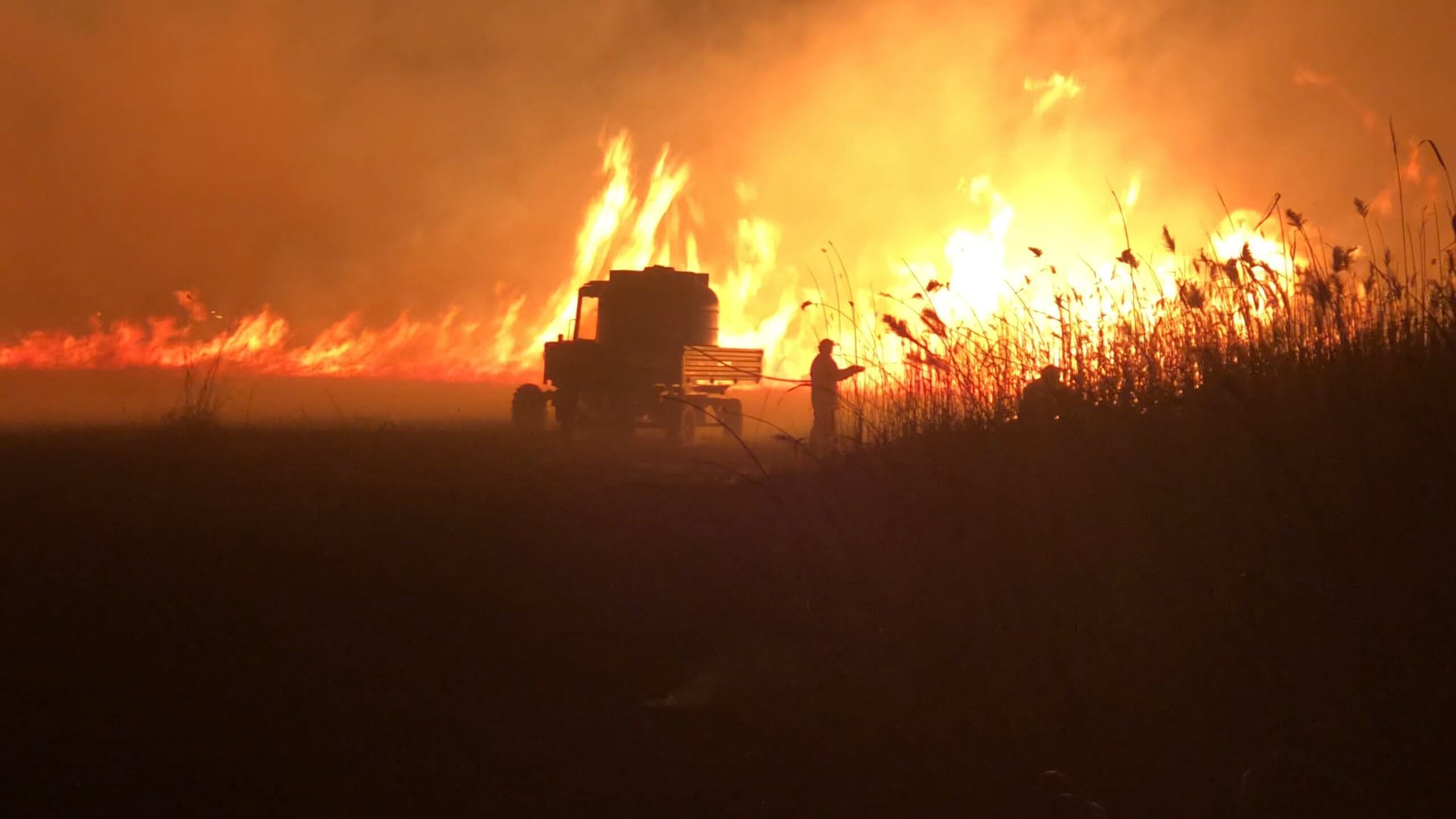 IMG_8594.mov_snapshot_00.05.418