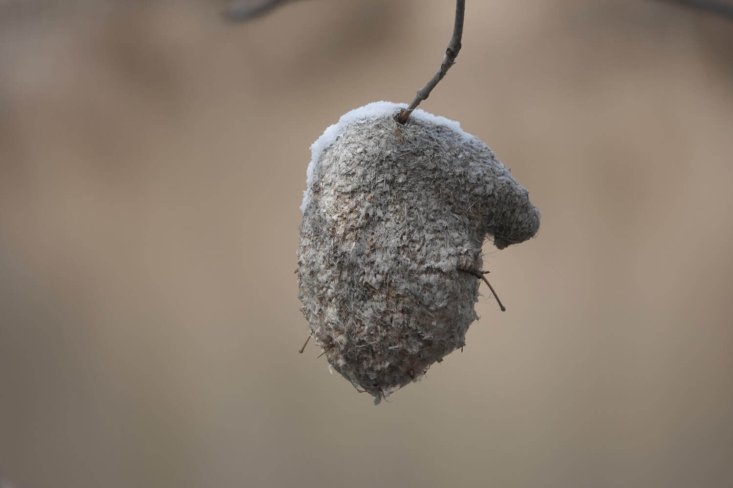 Марина Вильданова (1)