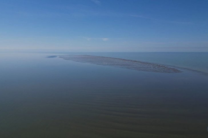 Ю. Шульгина, ИО РАН (2)