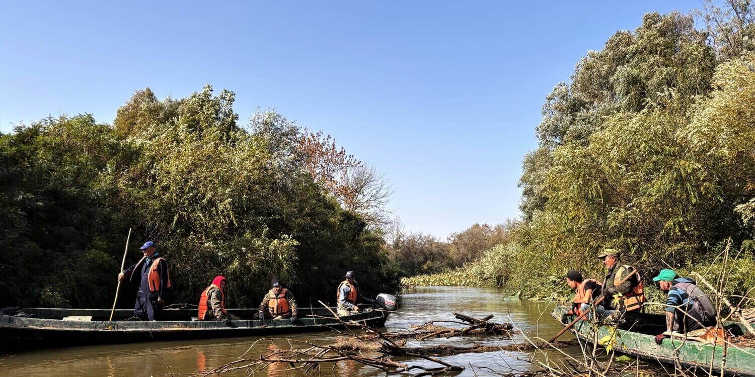 2024-10-01 11.20.53 (1)