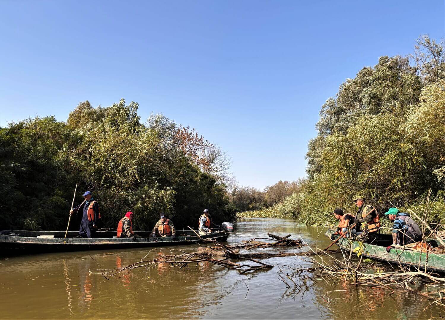 2024-10-01 11.20.53 (1)