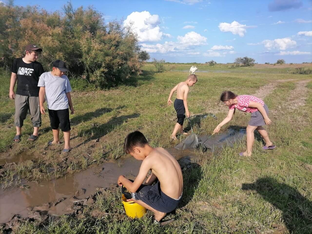 9NQhSsmdtwBOSQFPVmdwJhsJQ1Q3vdMcc9un3k6qVJ_683TROZ5h1buRneS1rQ6Arxptag4fcc9qNpIXS3SqnpX6