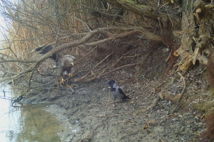 STC_0057.MOV_snapshot_00.01.472