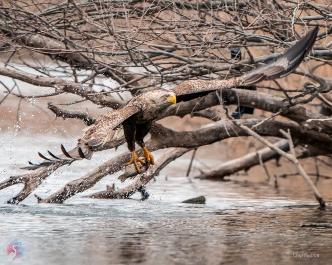 14_Кыров_Удачная рыбалка