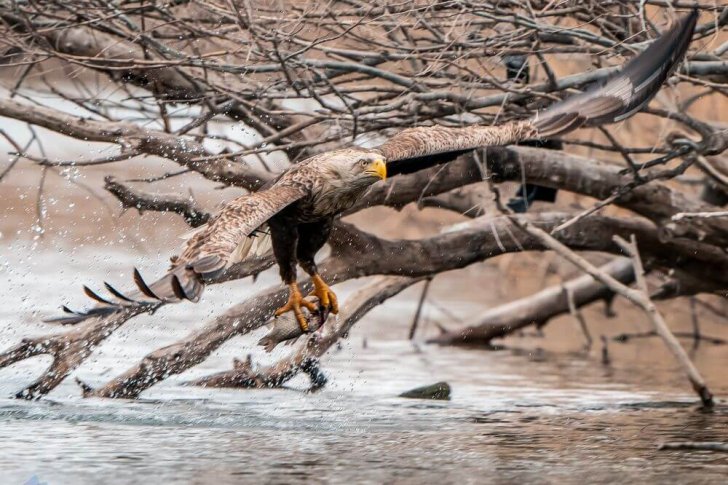 14_Кыров_Удачная рыбалка