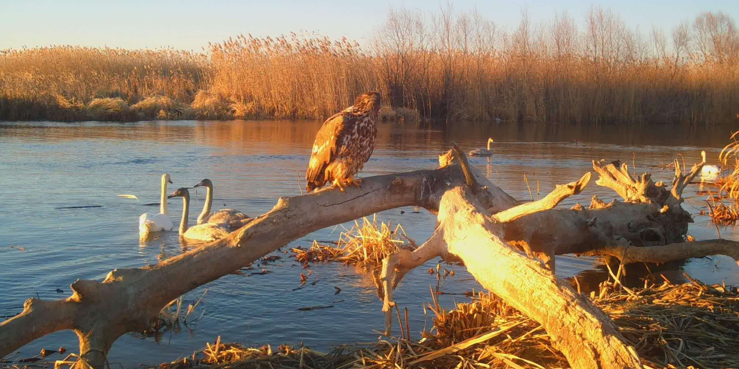 STC_0022.MOV_snapshot_00.05.037