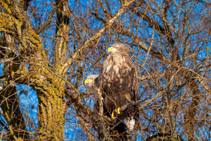 ЗМУ Дамчик_янвапя 2026_Перковский-01184